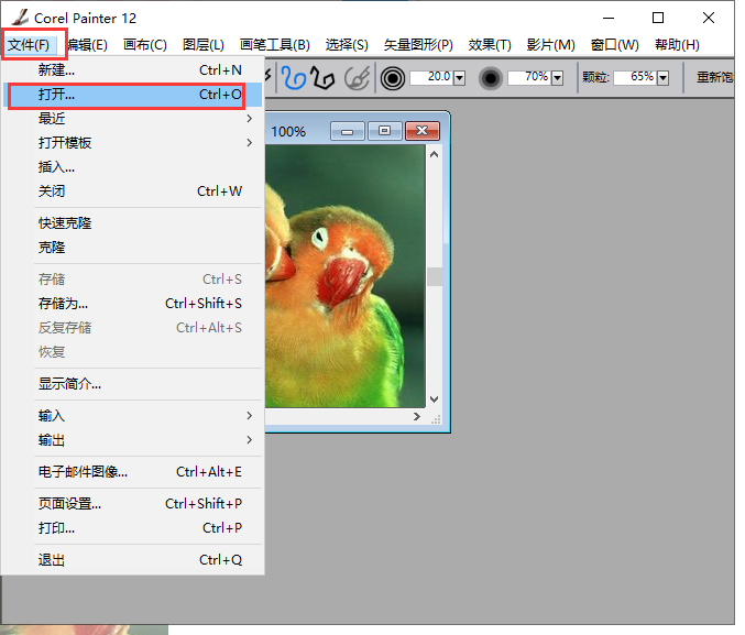 Corel Painter截图