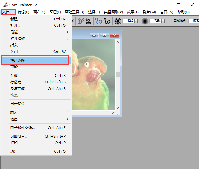 Corel Painter截图